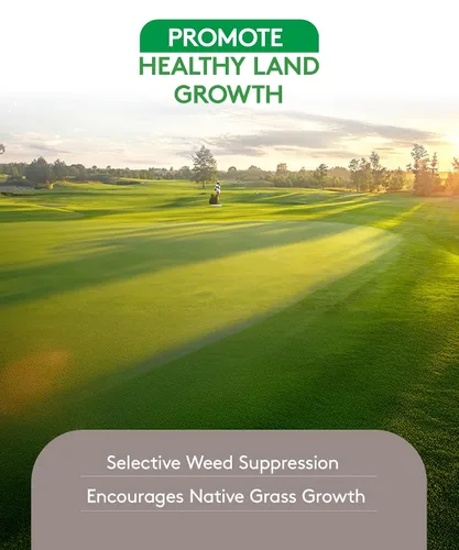 Vista 5 de ALLIGARE Herbicida panorámico 2SL herbicida herbicida - Versátil herbicida Imazapyr para un control duradero de pastos anuales y malezas de hoja