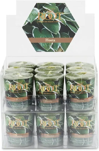 Vista 14 de Root Candles Velas perfumadas de panal Veriglass Premium hecha a mano con mezcla de cera de abeja, pequeña, Hosta