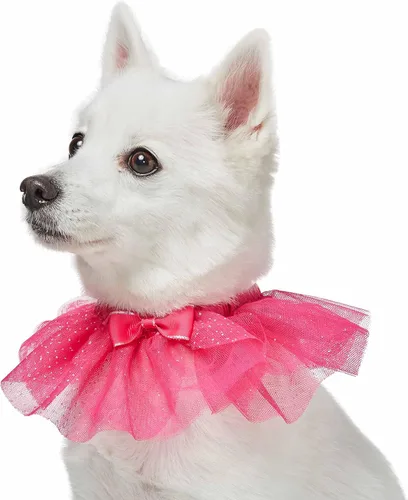 Vista 8 de Blueberry Pet Collar de perro ajustable My Little Princess 2022 con malla bordada y pajarita, azul bebé, talla XS