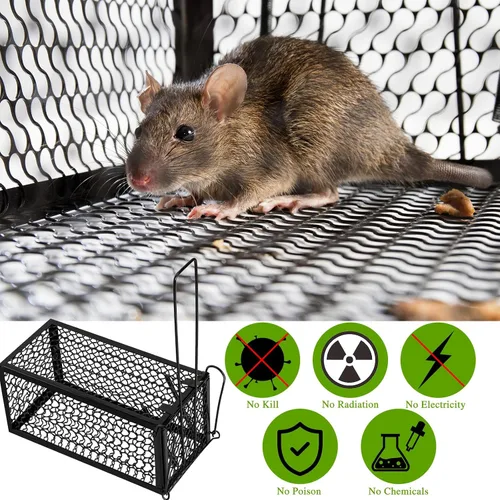 Vista 5 de Qualirey 1 Pieza Trampa Humana para Ratas Ardilla Listada Roedor Ratón Ardilla Trampa de 9.1 x 4.5 x 4.5 Pulgadas Animales Vivos Ratón Topillos