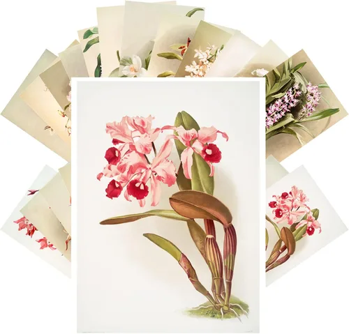 Vista 23 de PIXILUV Johann - Postales vintage (24 unidades), diseño de flores salvajes, jardín, aun vida, arte de pintura de museo antiguo, reimpresión