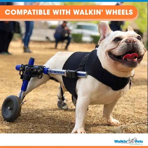Vista 6 de Arnés delantero para perro Arnés sin tirones Diseñado para perros pequeños con pechos anchos Compatible con silla de ruedas para perros