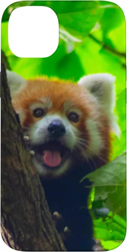 Vista 15 de Cute Funny Red Panda Smiling Tree Animal Nature Lover Gift Case for iPhone 17
