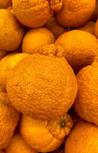 Vista 2 de Fresh Dekopon Mandarinas naranjas (4 libras incluye 5-6 piezas enteras)