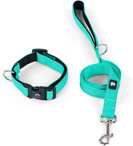 Vista 21 de IVY&LANE Juego de collar y correa reflectante para perro, collares de perro acolchados de neopreno ajustable para cachorros, collar de nailon