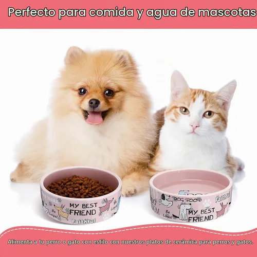 Vista 5 de Maxcheck - 2 cuencos de cerámica para perros pequeños, 5 pulgadas, color Rosa