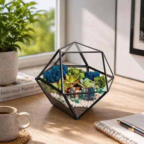 Vista 10 de Creations by Nathalie Kit de bricolaje de terrario cáliz de 6" con plantas vivas - Construye tu propio terrario de vidrio para adultos y niños