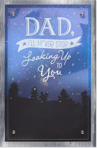 Vista 9 de American Greetings Tarjeta del día del padre para papá (Important You Are)