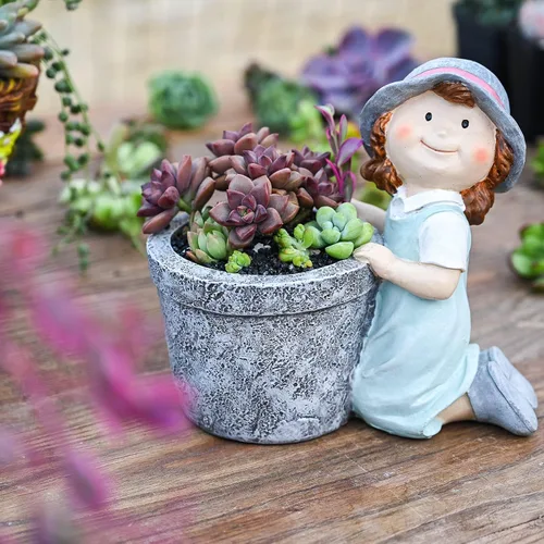 Vista 4 de Sprout N Green Plantas suculentas vivas, paquete de 5 suculentas surtidas en maceta de 2 pulgadas con mezcla de tierra, plantas pequeñas raras