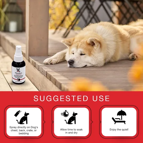 Vista 7 de Warren London Spray calmante de aromaterapia para perros, mezcla de aceites esenciales de 2.5 onzas (lavanda, vetiver, salvia clara y naranja dulce)