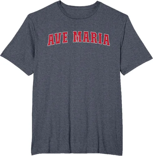 Vista 66 de Ave Maria FL Florida - Camiseta, Negro