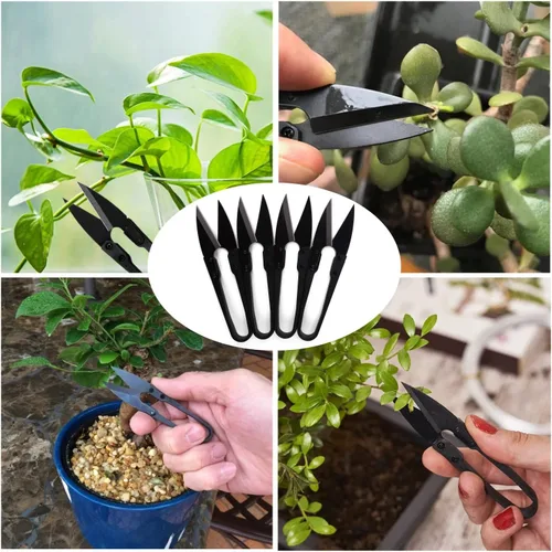 Vista 8 de Tijeras de podar bonsái, 12 unidades, pequeñas tijeras de podar brotes y hojas, tijeras de jardín para plantas, cortadoras de jardinería