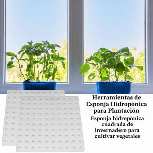 Vista 4 de Paquete de 200 esponjas hidropónicas para plantar, esponjas cuadradas de plántulas, esponja hidropónica para invernadero, esponja hidropónica