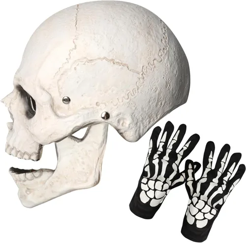 Vista 5 de Máscara de calavera con mandíbula móvil para Halloween, espeluznante esqueleto de látex, máscara de cabeza completa para adultos, disfraces de fiesta