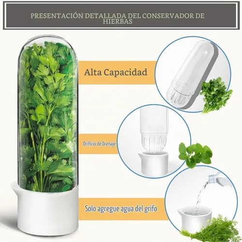 Vista 5 de Protector de hierbas, conservador de hierbas para refrigerador, recipiente de cilantro para refrigerador, hierbas frescas, lechuga, conservación