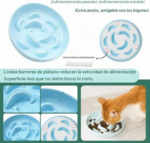 Vista 4 de Juego de 2 cuencos de cerámica para gatos de 6.3 pulgadas de ancho Azul y Verde
