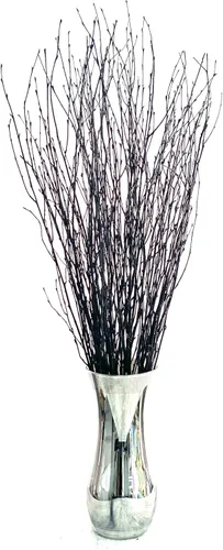Vista 13 de ECOVENIK 25 piezas - Ramas - 28.7 in, ramitas de abedul natural, paquete de 20-25 tallos, largo para jarrones de suelo, (blanco y gris)
