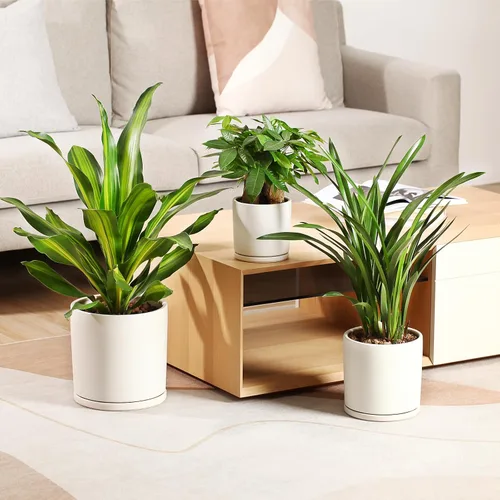 Vista 7 de Kazeila Macetas de cerámica para plantas de interior y exterior, flores, 10 pulgadas, blanco mate, maceta cilíndrica grande con platillo y orificio