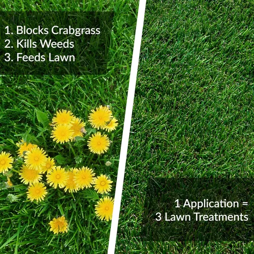 Vista 4 de GreenView Fairway Formula - Fertilizante de primavera para prevenir malezas y piensos y pasto de cangrejo