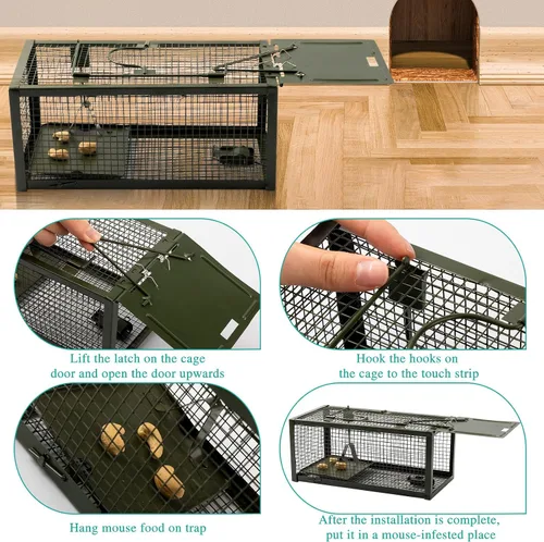 Vista 5 de Qualirey Trampa para ratas vivas, 2 unidades, trampa humana para ratones, ratones, jaula para animales pequeños, para interiores y exteriores, Verde