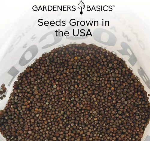 Vista 5 de Gardeners Basics, Kit de semillas de brócoli para germinación y microverdes sin OMG, bolsa de brotes resellables a granel de 1 libra