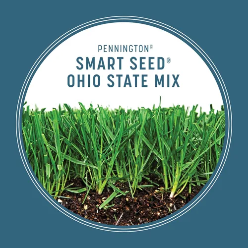 Vista 5 de Pennington Smart Seed - Semillas de césped del estado de Ohio para césped