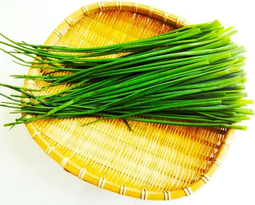 Vista 4 de Cebollino Allium schoenoprasum ajo silvestre 100+ semillas