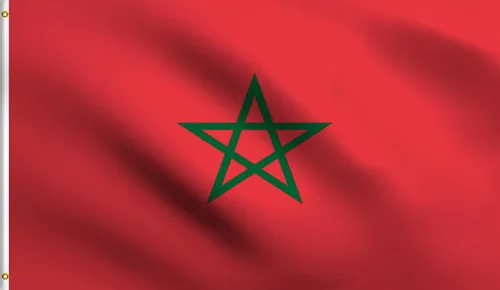 Vista 52 de DMSE - Bandera nacional beninesa beninesa de la República de África Occidental, 2 x 3 pies, 100 % poliéster, 100 % poliéster, resistente a los rayos