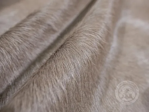 Vista 3 de Sunshine Cowhides Alfombra de piel de vaca 100% genuina, color gris topo, alfombra de piel de animal de estilo moderno y alfombra para sala