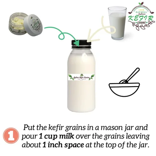 Vista 3 de Granos de kéfir de leche fresca - 1 cucharada