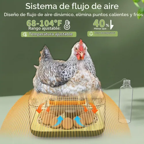 Vista 7 de Incubadoras para incubar huevos Incubadora automática de huevos con control de temperatura y pantalla de humedad, capacidad de 12 huevos para pollo