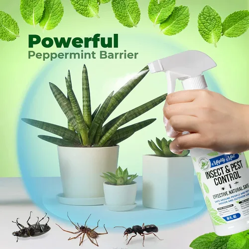Vista 5 de Mighty Mint Concentrado repelente de insectos de aceite de menta – Control natural de insectos en interiores y exteriores para arañas, hormigas