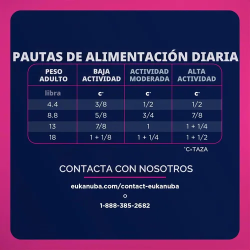 Vista 12 de Comida para perros seca EUKANUBA Senior