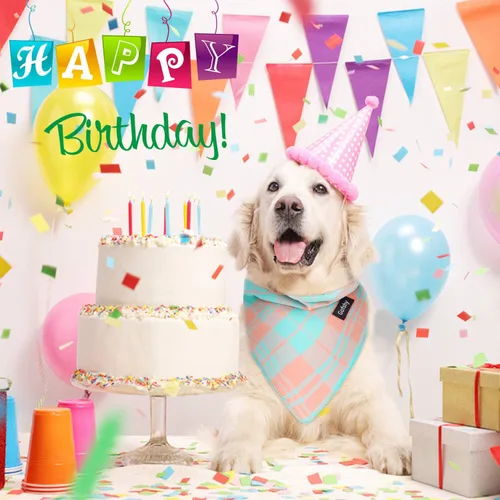 Vista 4 de Bandana de primavera para perro, bufanda grande para perro, color naranja, verde, estampado a cuadros, ajustable, accesorios para perros pequeños