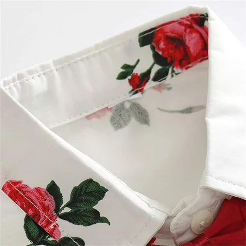 Vista 5 de Conjunto de camisa de manga corta con botones y pantalones cortos para bebé y niño, con estampado de verano
