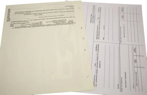 Vista 7 de Blumberg - Kit corporativo de belleza negra con actas y estatutos de PDF Corporation, carpeta de registros, sello corporativo, certificados impresos