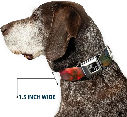 Vista 7 de Buckle-Down Collar de perro con hebilla de cinturón de seguridad Supernova Space Collage, multicolor, 1 pulgada de ancho, se adapta a cuello de 9 a