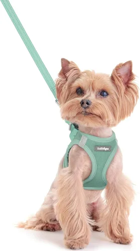Vista 77 de rabbitgoo Arnés para perro de tamaño pequeño y juego de correa, chaleco Cachorros de manzana