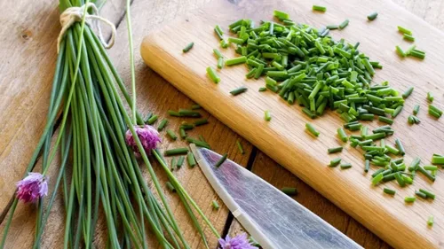 Vista 5 de Más de 400 Semillas de Cebolleta de Ajo Cebolleta - Verde Vegetal
