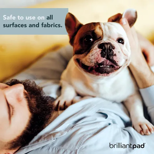Vista 6 de BrilliantPad TidyShot - Spray eliminador de manchas y olores para mascotas