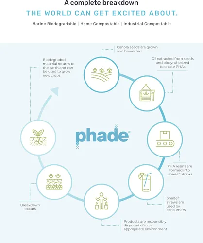 Vista 5 de phade Pajitas para beber jumbo ecológicas de 7.75 pulgadas, 3,750 unidades, biodegradables marinos, compostables, envueltas individualmente, paquete