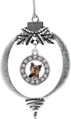 Vista 419 de Inspired Silver - Adorno de cromosoma 21 con dije de círculo de plata con joyas de circonita cúbica