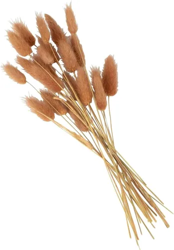 Vista 7 de Efavormart - Paquete de 50 ramos de flores de hierba de pampa seca con cola de conejo marrón de 15 pulgadas, arreglos de tallo bohemio