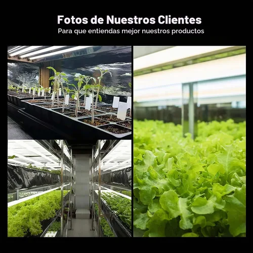 Vista 7 de VIVOSUN Bombillas T5 de crecimiento de 2 pies y 22 pulgadas, 24 W, 6500 K, tubos fluorescentes HO, bombilla blanca fría T5 para lámparas T5 de 22