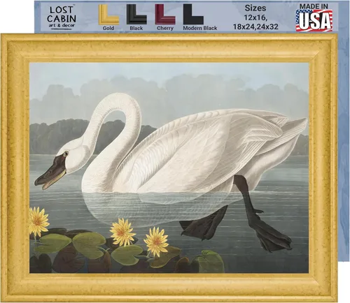 Vista 30 de Lost Cabin American Flamingo por James Audubon Impresión en marco biselado negro Reproducción de pintura de obras de arte finas Póster