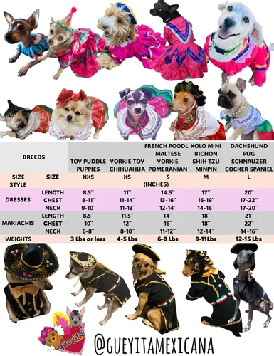 Vista 2 de Disfraz de perro Mariachi XS