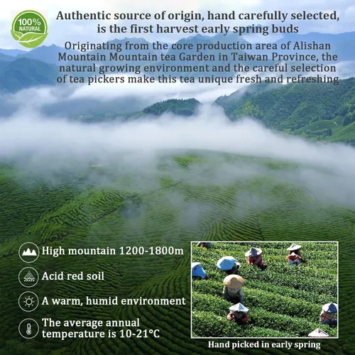 Vista 2 de XIXICHA Alishan Oolong Tea Hoja Suelta Grado AAA Taiwán Alta Montaña Gaoshan Ulong Té Taiwán Té Verde Taiwanés Té Oolong Verde Floral y Afrutado