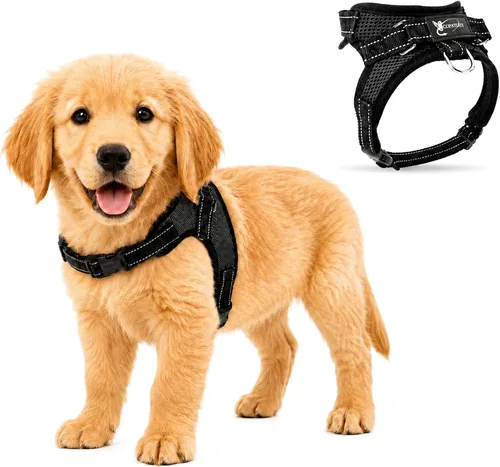 Vista 9 de Arnés ajustable reflectante para perro con asa evita tirones, XXS, Negro