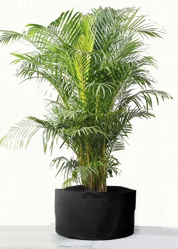 Vista 3 de FiveSeasonStuff Bolsas de cultivo, macetas de tela resistente (paquete de 5 unidades, 25 galones (negras))