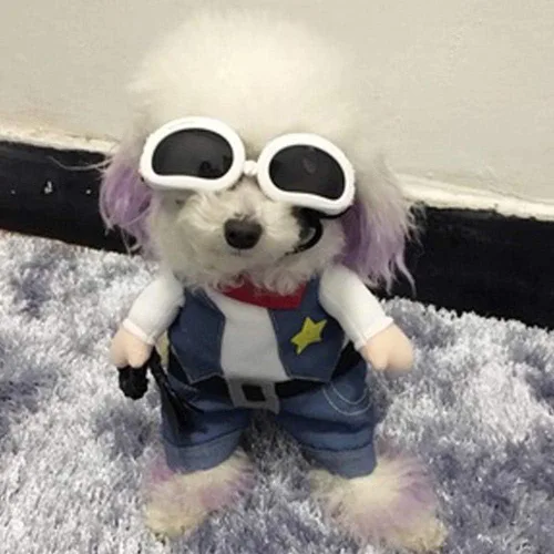 Vista 4 de Chaqueta de vaquero divertida para perros y gatos pequeños